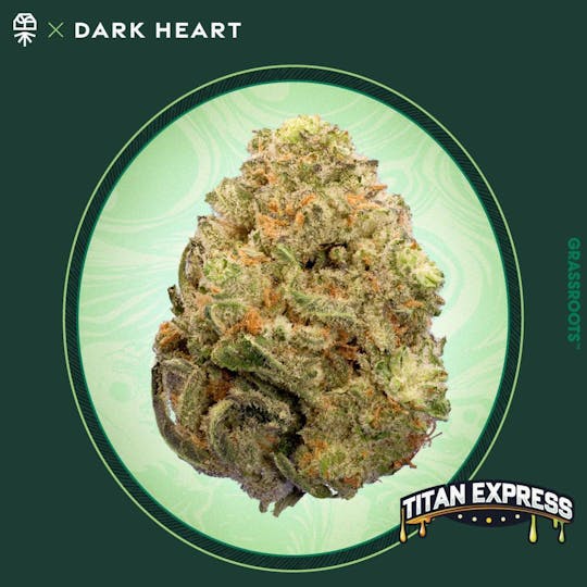 Grassroots - Titan Express Small Buds - Dark Heart Collection - 1