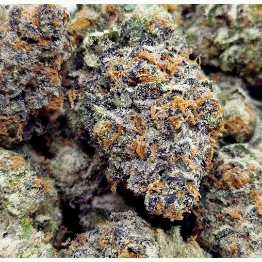 World Class Cannabis - Gelonade - 1
