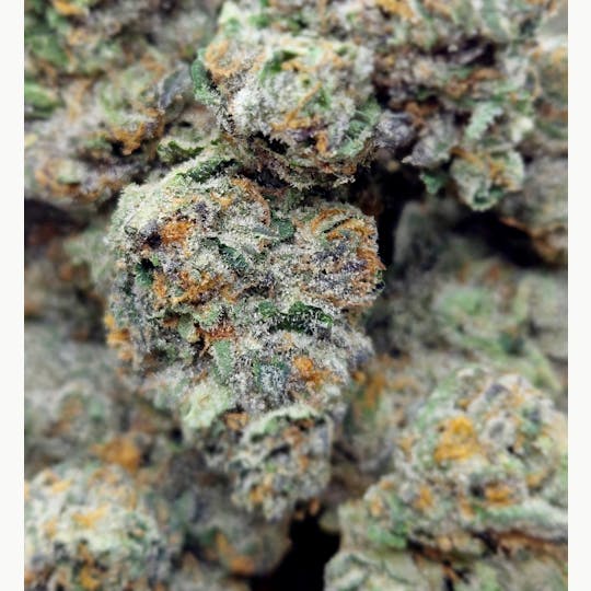 World Class Cannabis - Triple Diesel - 1