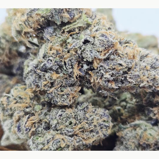 World Class Cannabis - Tropicana Cookies - 1