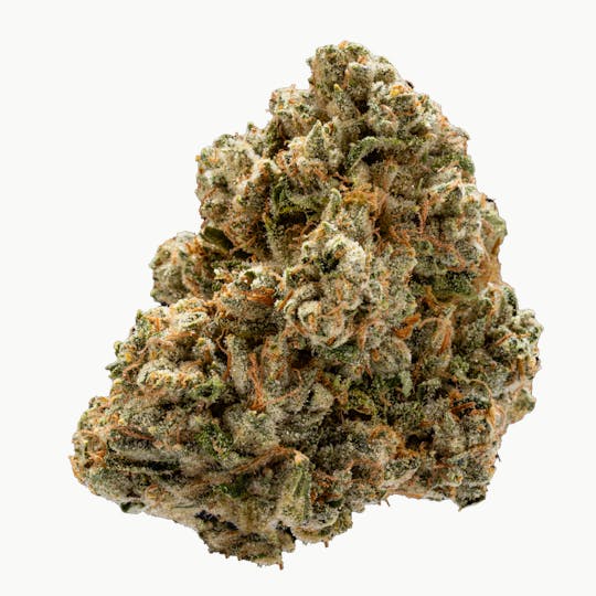 West Coast Cure - WCC OG - 3.5G Headstash Indoor Flower - 1