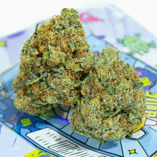 TEDS BUDZ - Gooniez | Blue Zparkle | 3.5g - 1