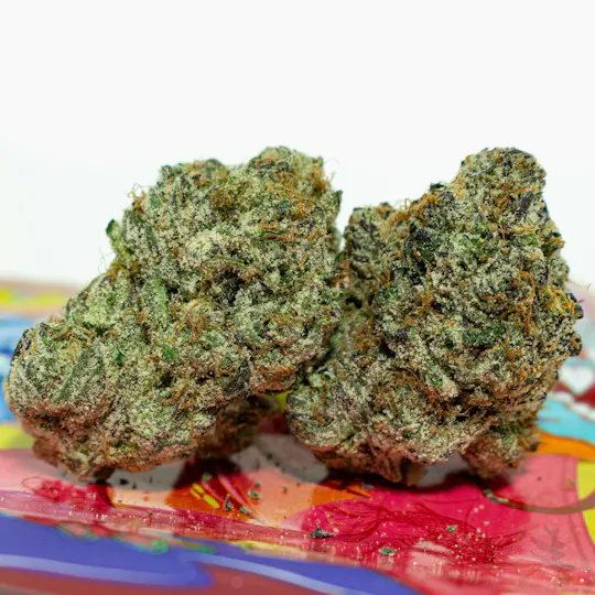 TEDS BUDZ - Gooniez | Dragon Gummy | 3.5g - 1