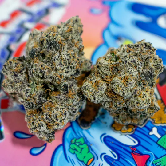 TEDS BUDZ - Gooniez | Bahama Yada | 3.5g - 1