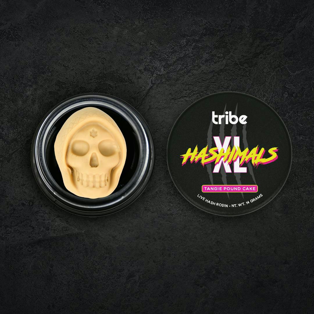 Tribe - Tribe | Tangie Pound Cake | Doom Skull XL Hashimals | 14g - 1