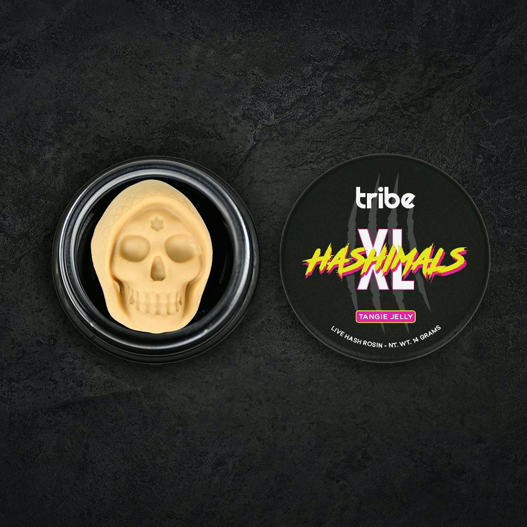 Tribe - Tribe | Tangie Jelly | Doom Skull XL Hashimals | 14g - 1