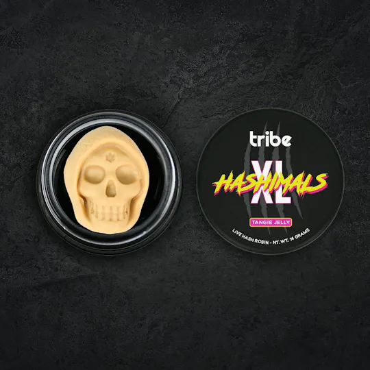 Tribe - Tribe | Tangie Jelly | Doom Skull XL Hashimals | 14g - 1