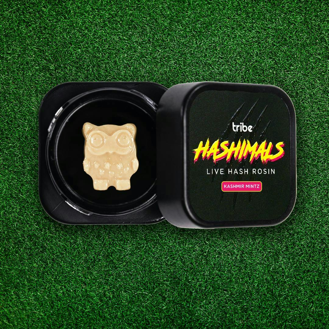 Tribe - Tribe | Kashmir Mintz | Owl Hashimals | 1g - 1