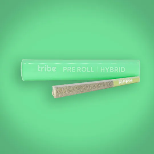 Tribe - Tribe | Raspberry Cookies | Joint | 1g - 1