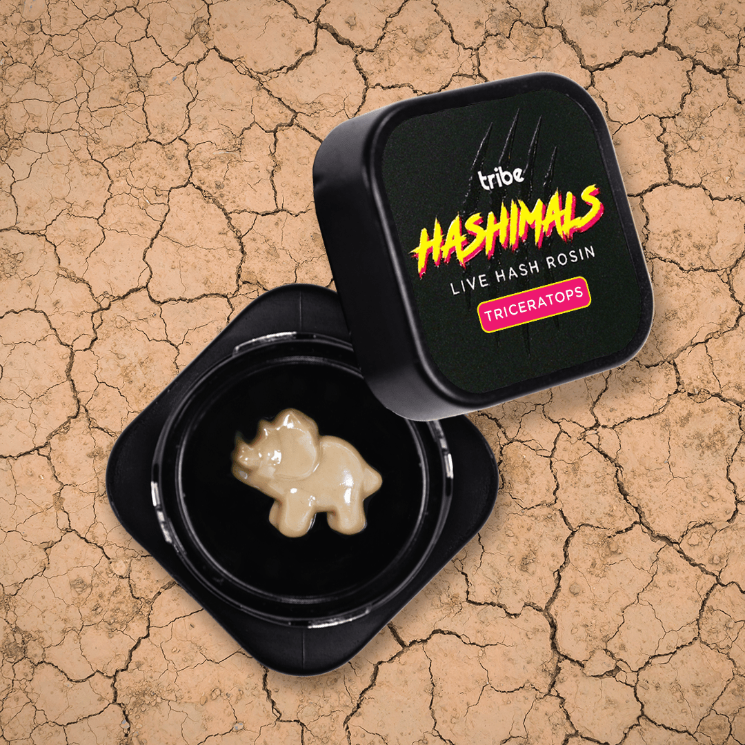 Tribe - Tribe | Strawberry Cooler | Triceratops Hashimals | .5g - 1