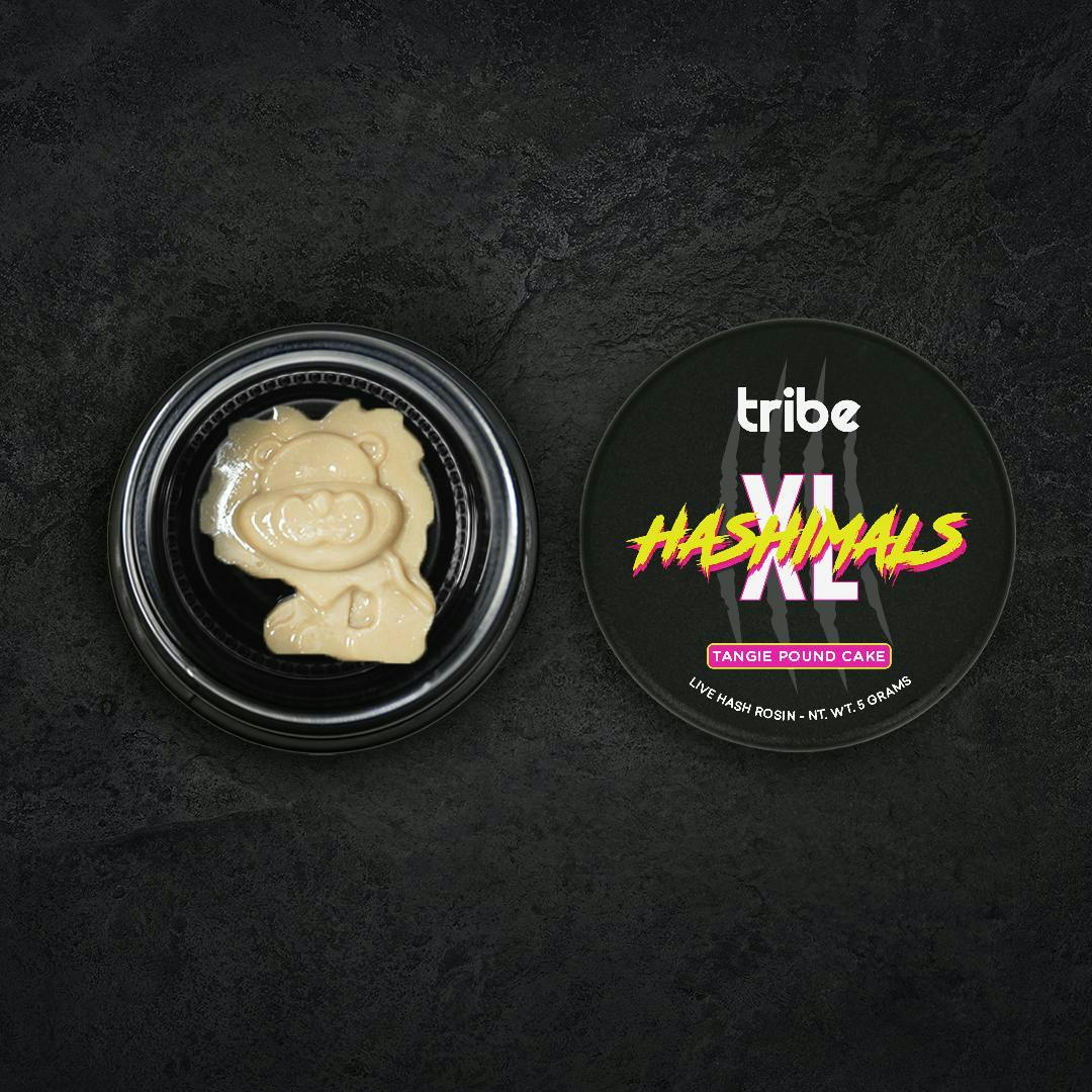 Tribe - Tribe | Tangie Pound Cake | Lion XL Hashimals | 5g - 1