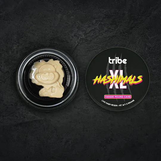 Tribe - Tribe | Tangie Pound Cake | Lion XL Hashimals | 5g - 1