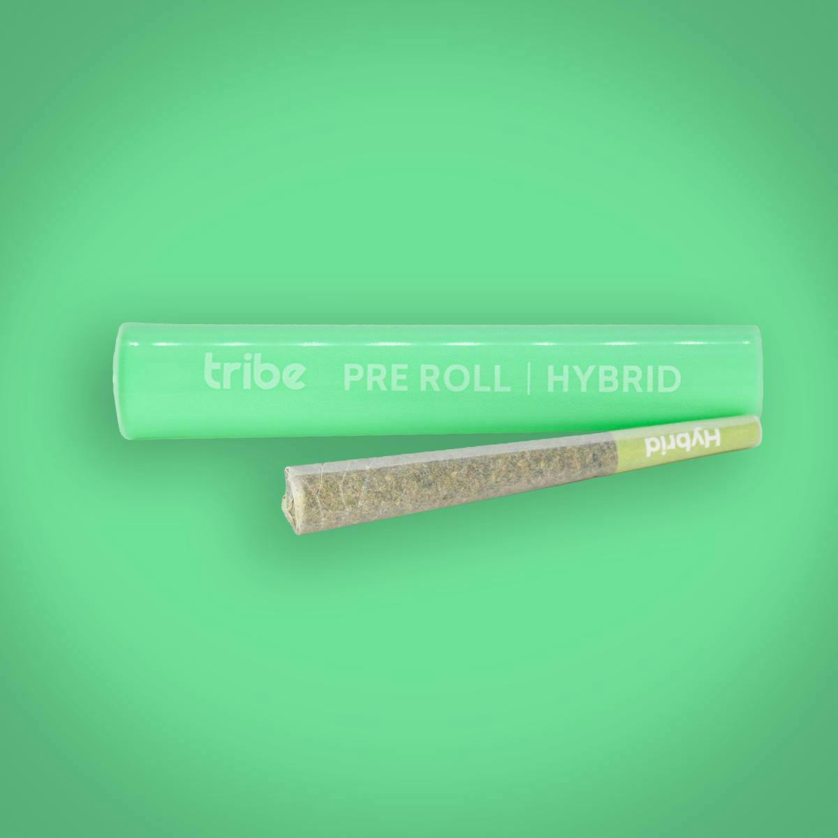 Tribe - Tribe | Biscotti Popz x H.O. | Joint | 1g - 1