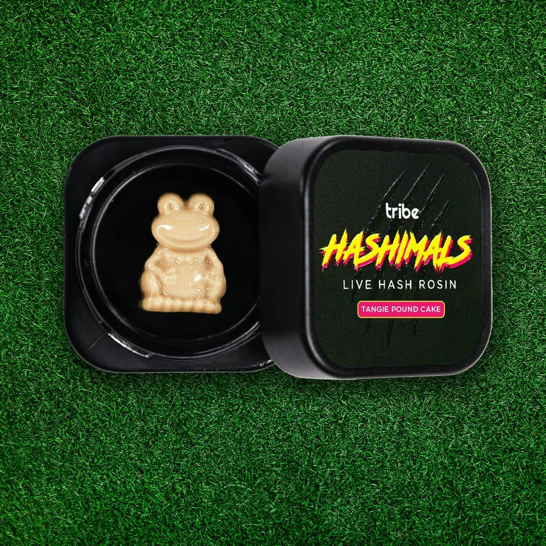 Tribe - Tribe | Tangie Pound Cake | Frog Hashimals | 1g - 1