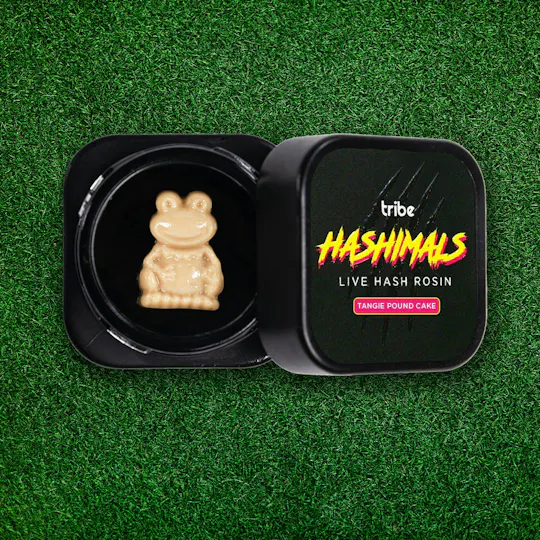 Tribe - Tribe | Tangie Pound Cake | Frog Hashimals | 1g - 1