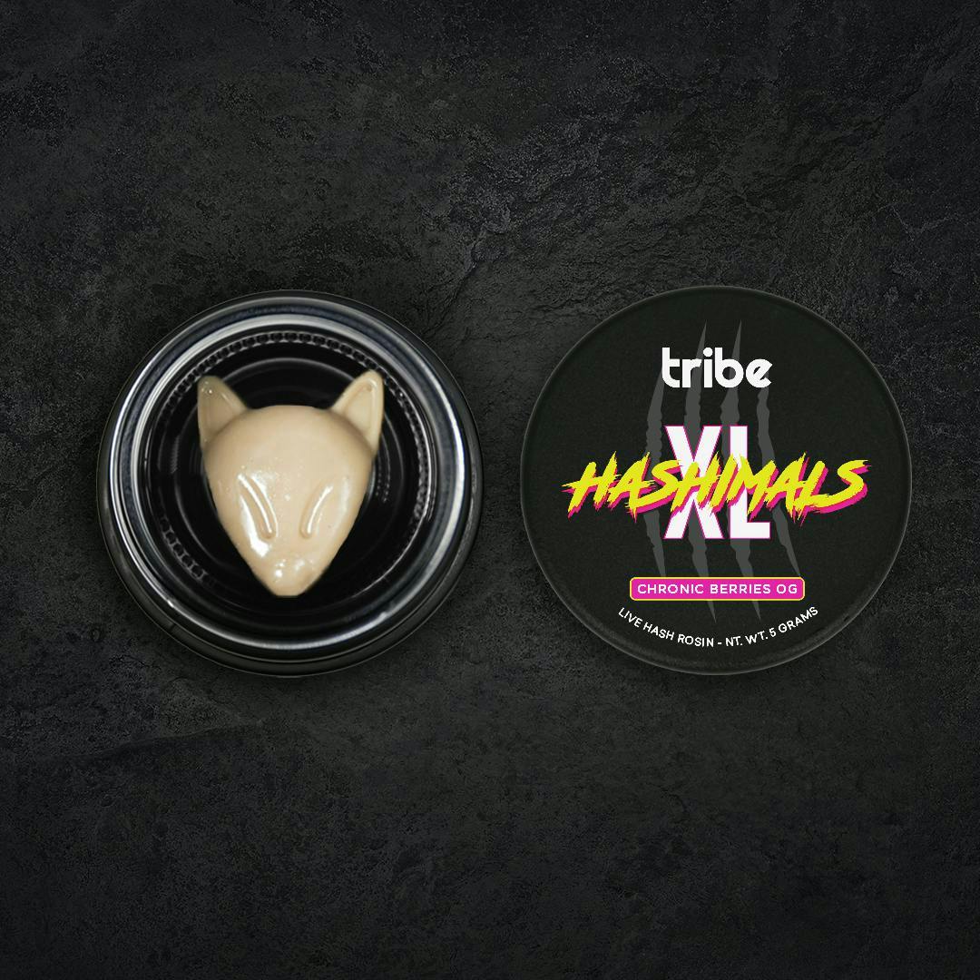 Tribe - Tribe | Chronic Berries OG | Fox XL Hashimals | 5g - 1