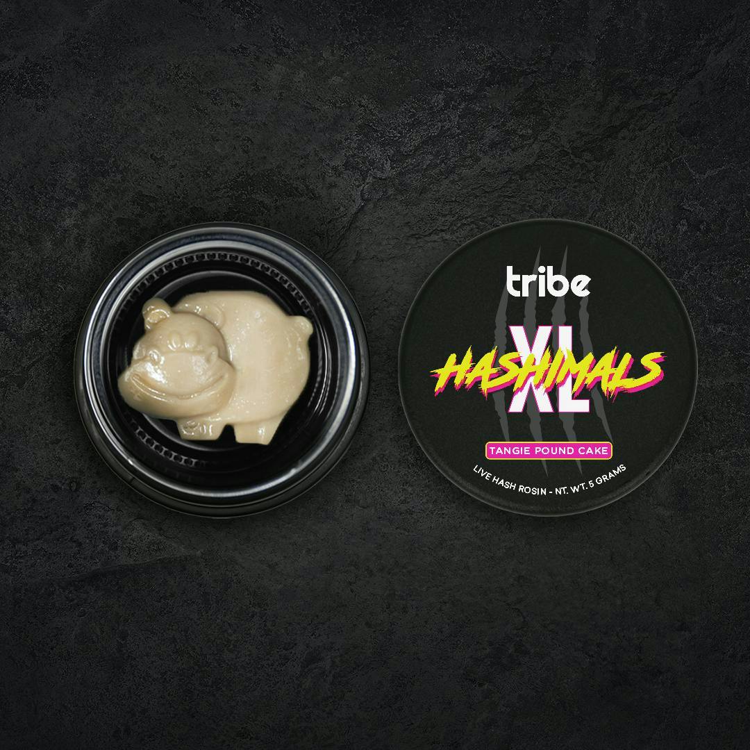 Tribe - Tribe | Tangie Pound Cake | Hippo XL Hashimals | 5g - 1
