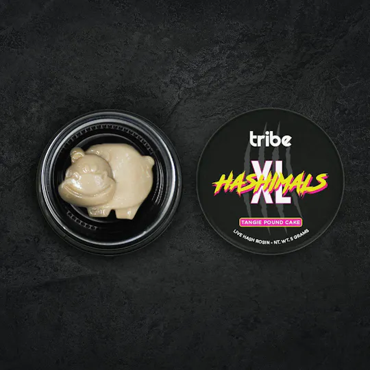 Tribe - Tribe | Tangie Pound Cake | Hippo XL Hashimals | 5g - 1