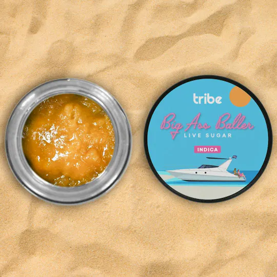 Tribe - Tribe | Big Ass Baller | Rainbow Runtz Crasher | Live Sugar | 14g - 1
