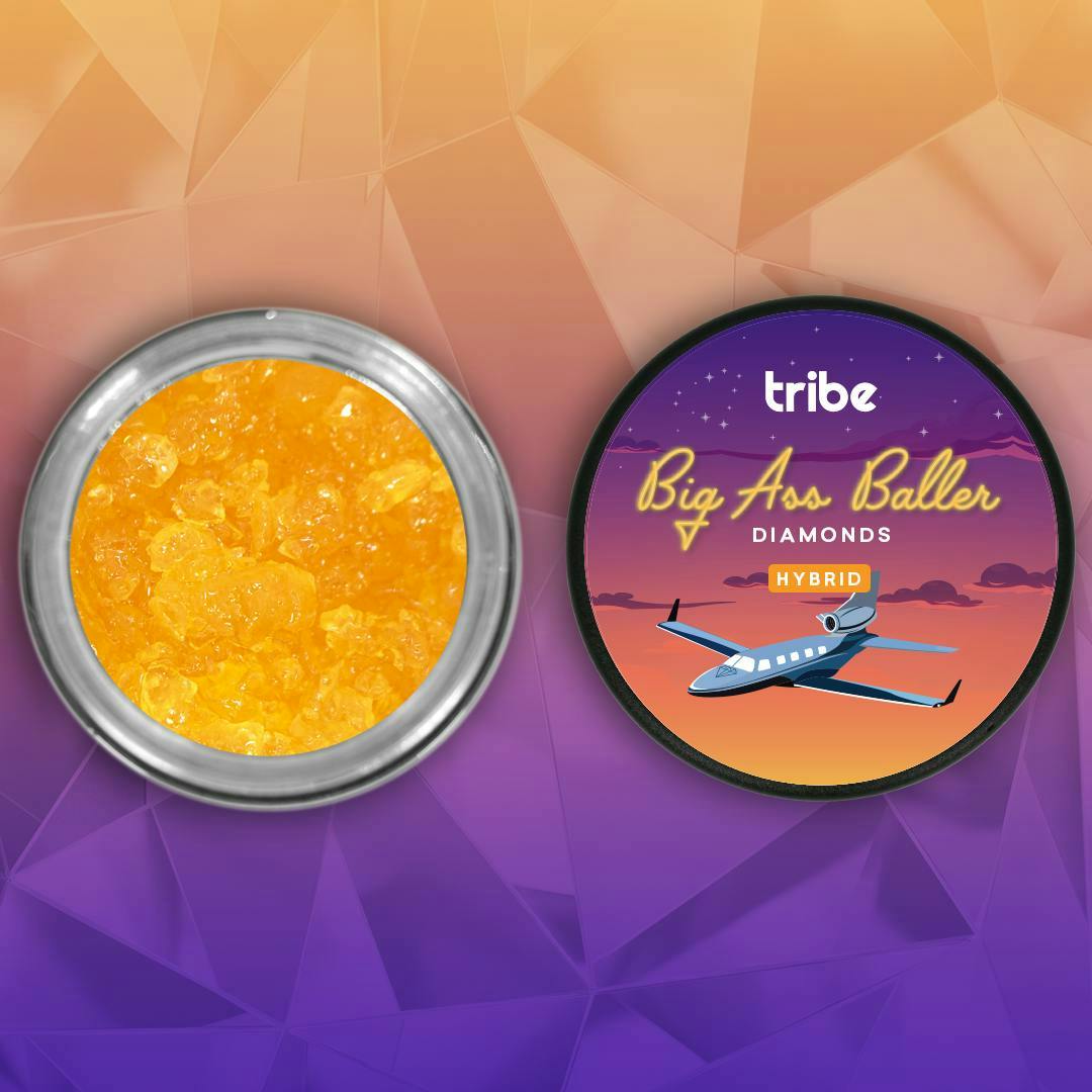 Tribe - Tribe | Big Ass Baller | Mountain Top Pine | Live Diamonds & Terps | 14g - 1