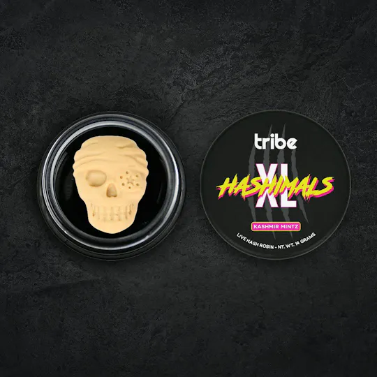 Tribe - Tribe | Kashmir Mintz | Pirate Skull XL Hashimals | 14g - 1