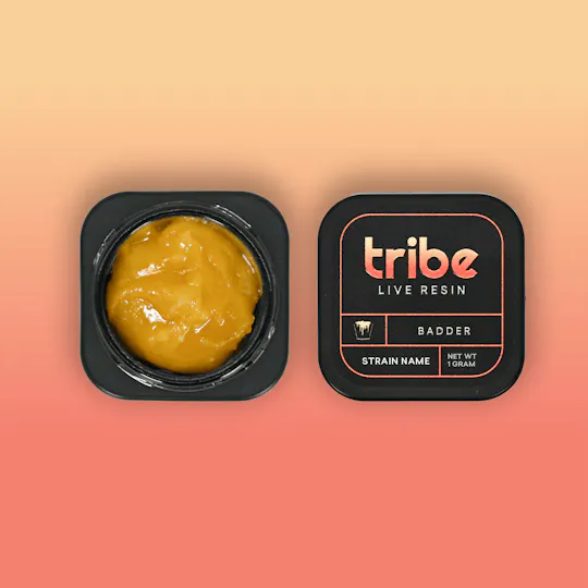 Tribe - Tribe | Melon Snack Platter | Live Badder | 1g - 1