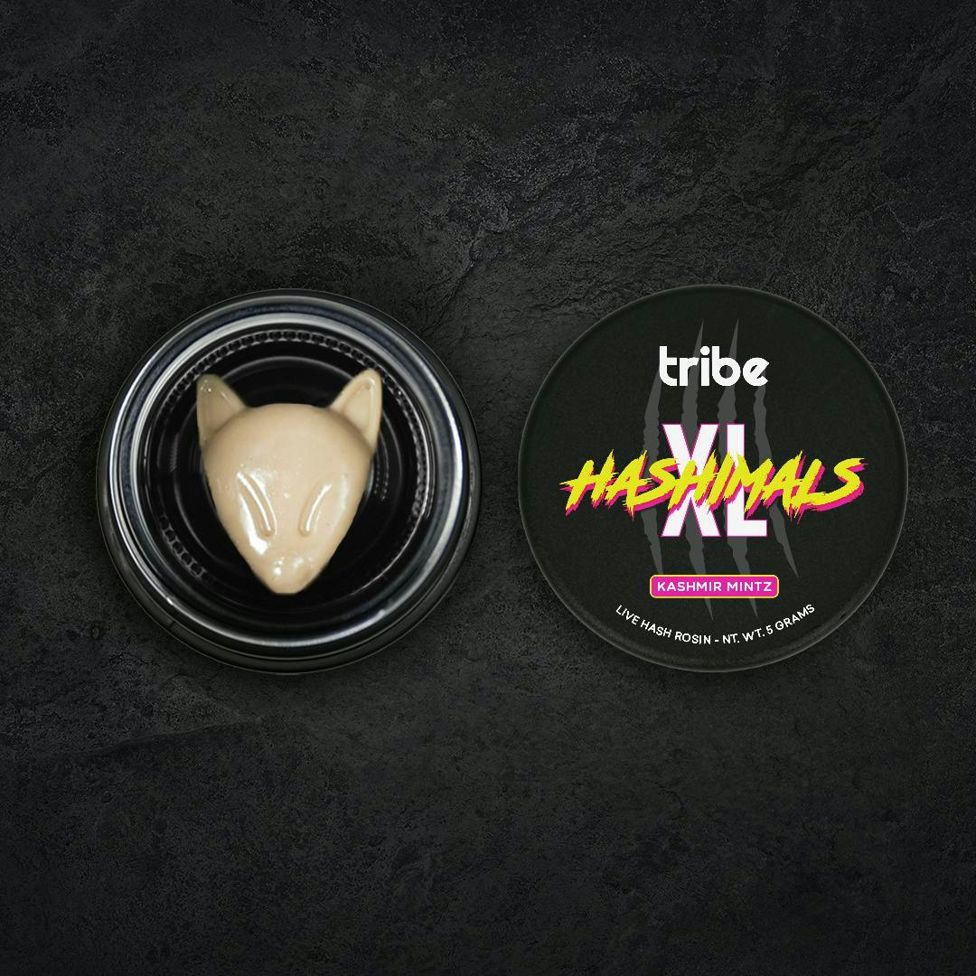 Tribe - Tribe | Kashmir Mintz | Fox XL Hashimals | 5g - 1