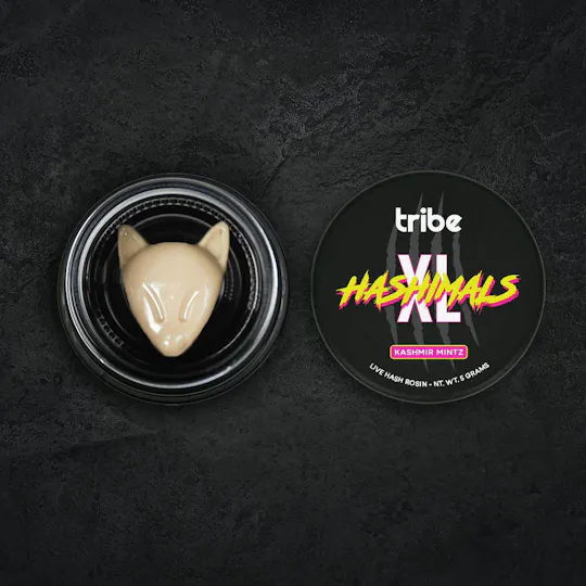 Tribe - Tribe | Kashmir Mintz | Fox XL Hashimals | 5g - 1