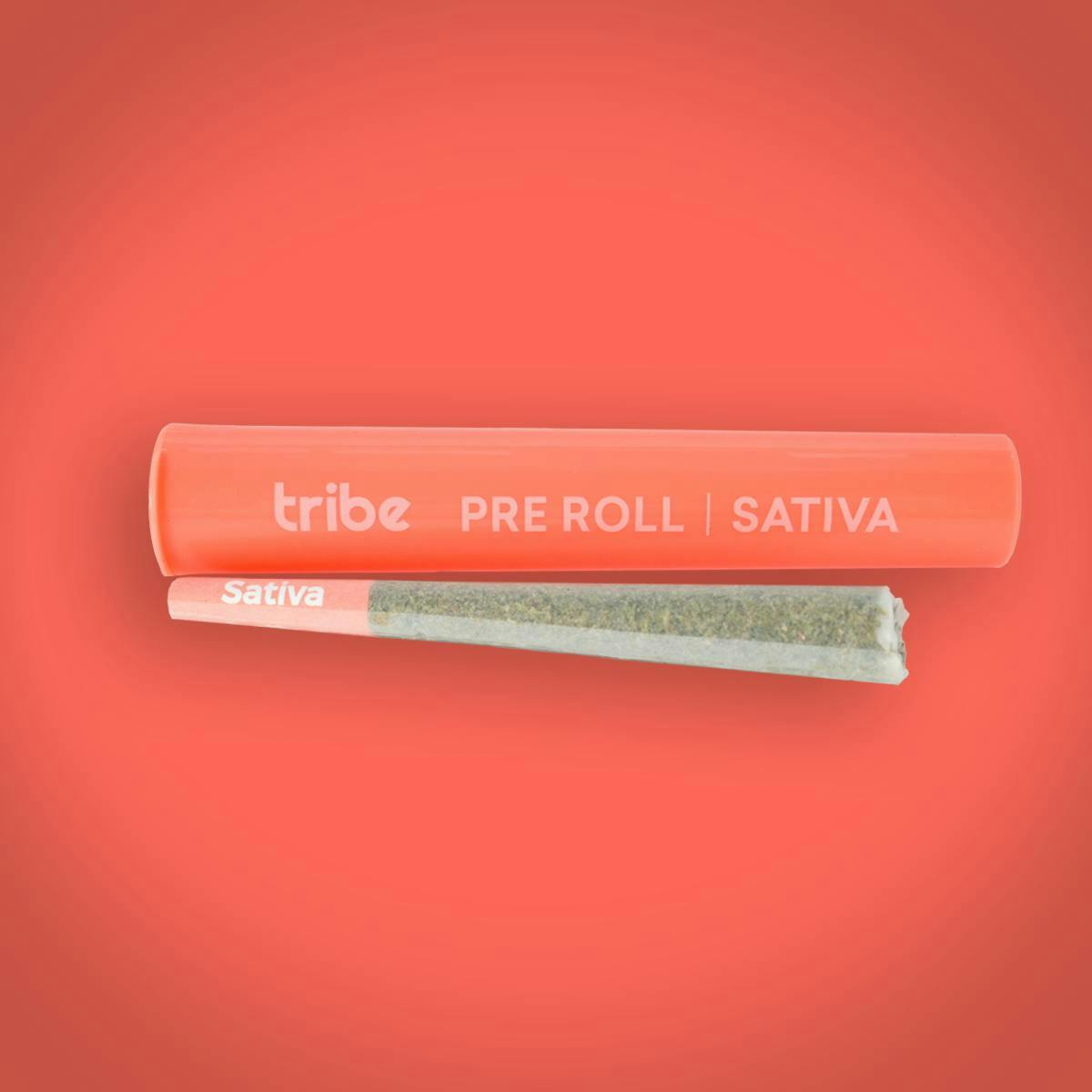 Tribe - Tribe | Lemon Zest | Joint | 1g - 1