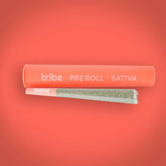 Tribe - Tribe | Lemon Slice | Joint | 1g - 1