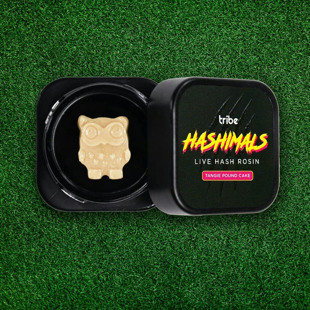 Tribe - Tribe | Tangie Pound Cake | Owl Hashimals | 1g - 1