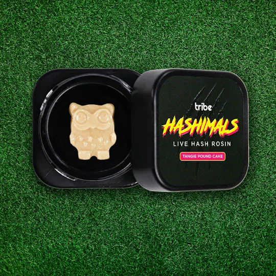 Tribe - Tribe | Tangie Pound Cake | Owl Hashimals | 1g - 1