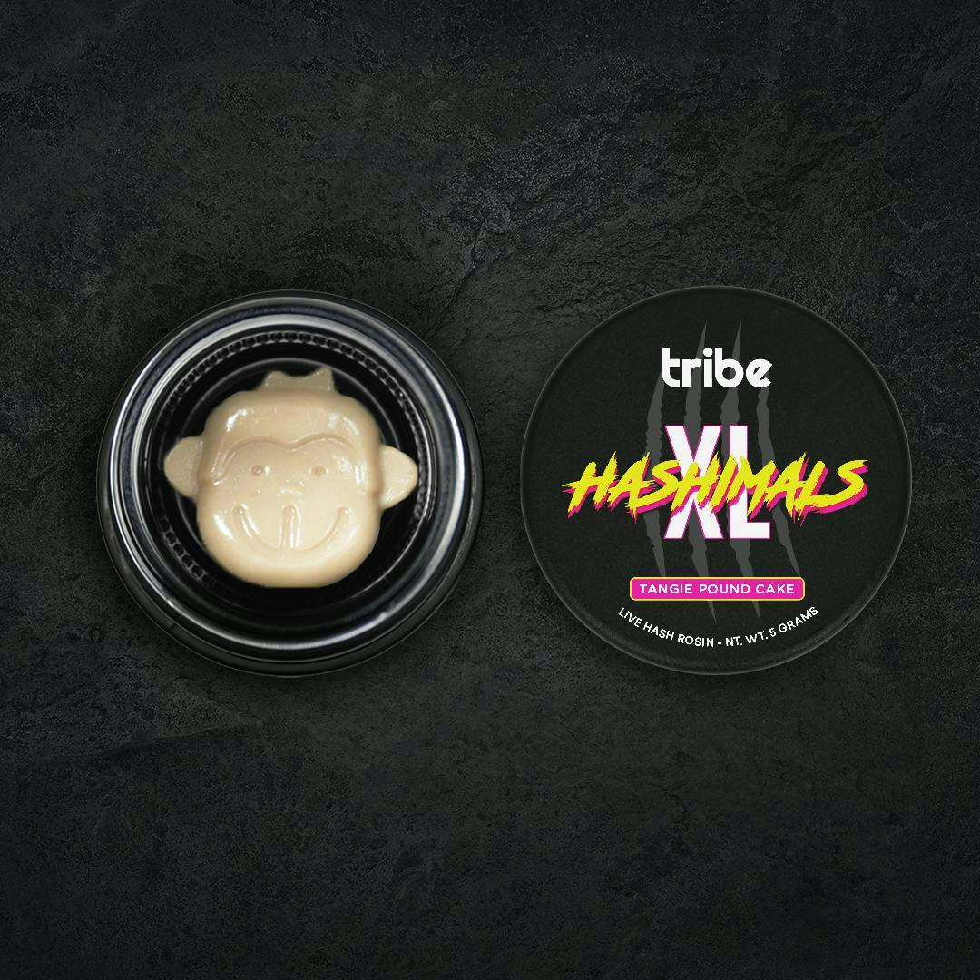 Tribe - Tribe | Tangie Pound Cake | Monkey XL Hashimals | 5g - 1