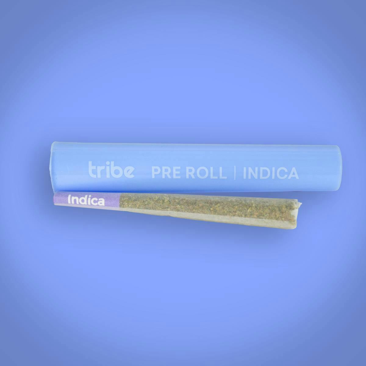 Tribe - Tribe | Blueberry Peanut Delight | Joint | 1g - 1