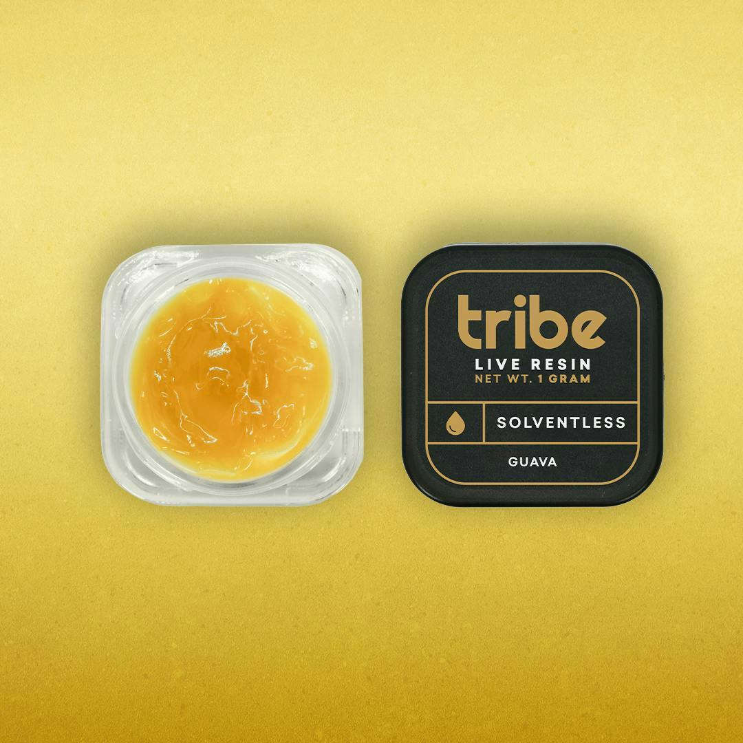 Tribe - Tribe | Guava | Live Hash Rosin | 1g - 1