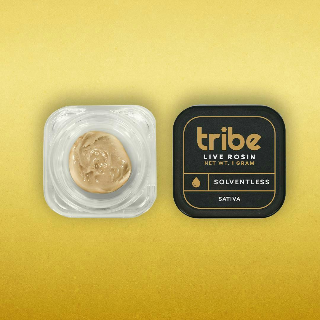 Tribe - Tribe | Tropsanto | Live Hash Rosin | 1g - 1