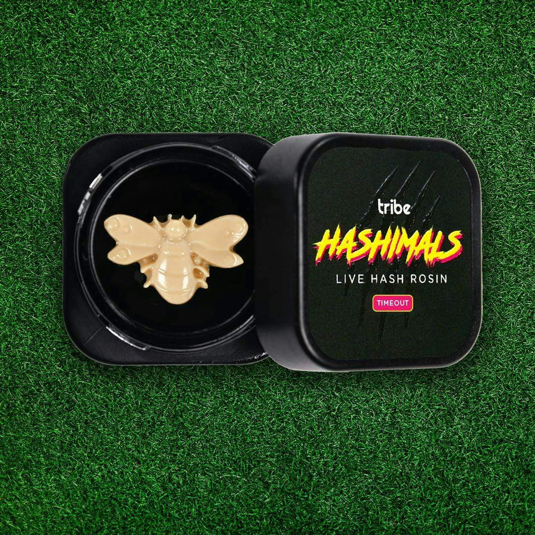 Tribe - Tribe | Timeout | Bumble Bee Hashimals | 1g - 1