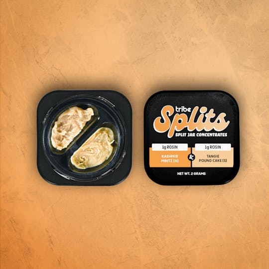 Tribe - Tribe Splits - Kashmir Mintz Live Rosin & Tangie Pound Cake Live Rosin - 2g - 1