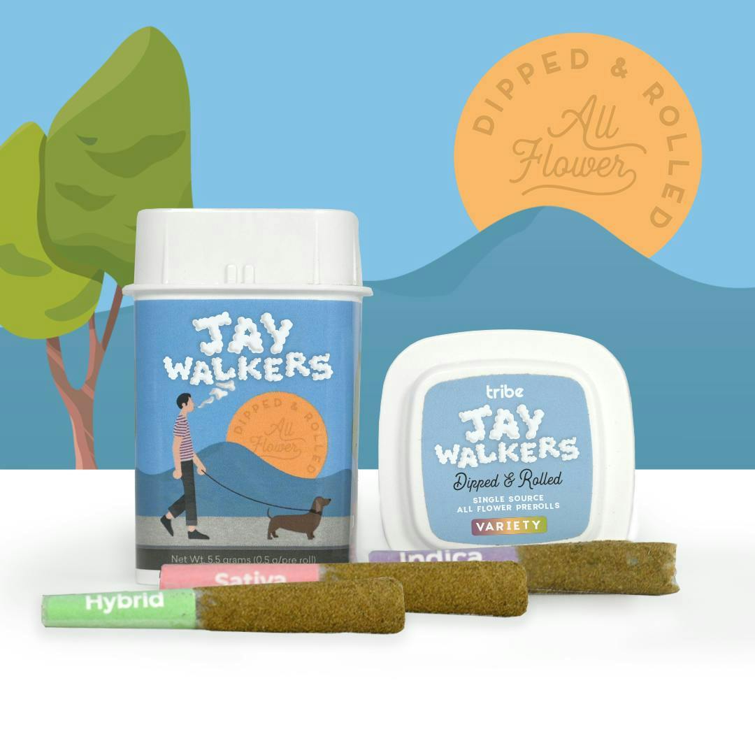 Tribe - Tribe | Variety | Jaywalkers Dipped Infused Minis | 0.55g each | 11pk - 1