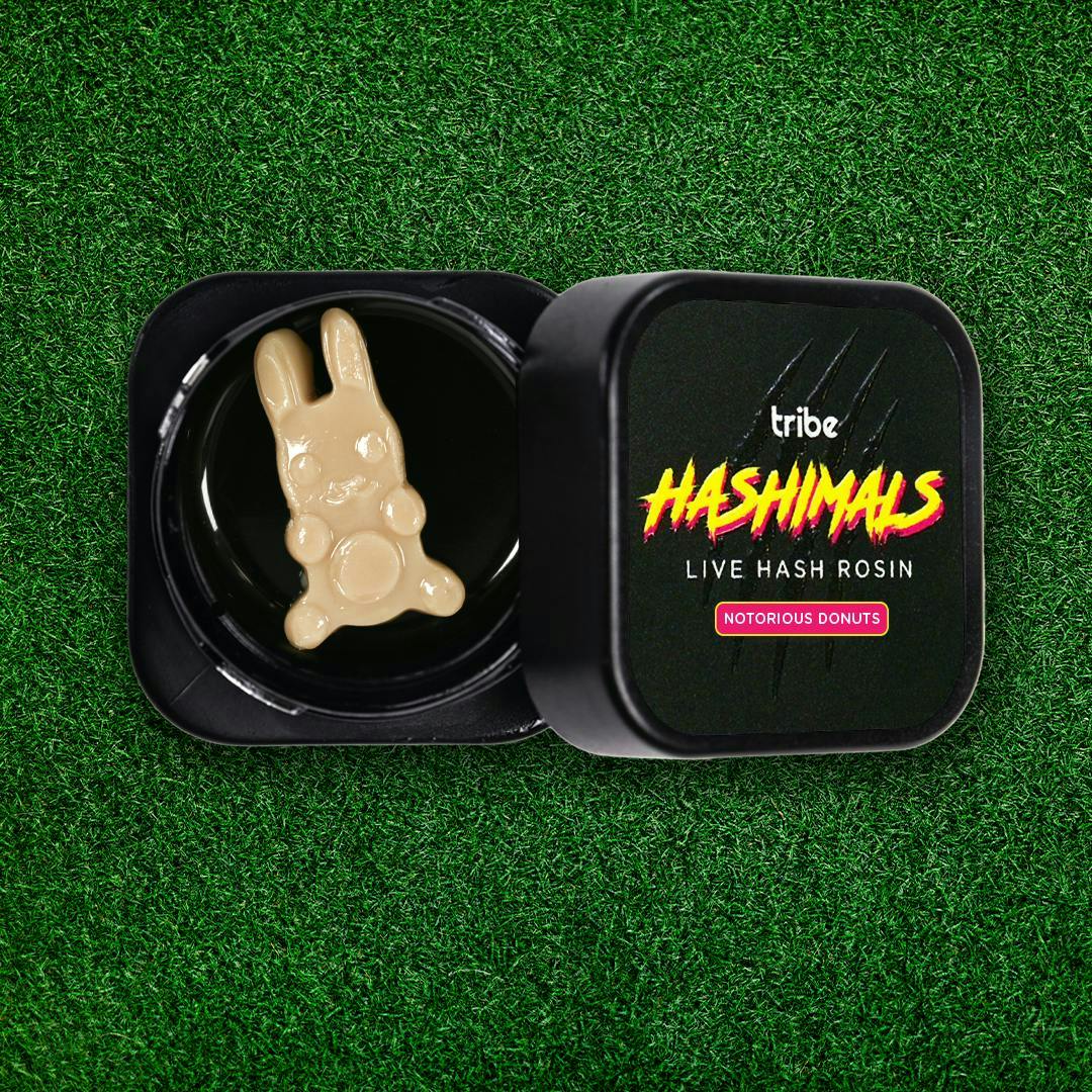 Tribe - Tribe | Notorious Donuts | Bunny Hashimals | 1g - 1