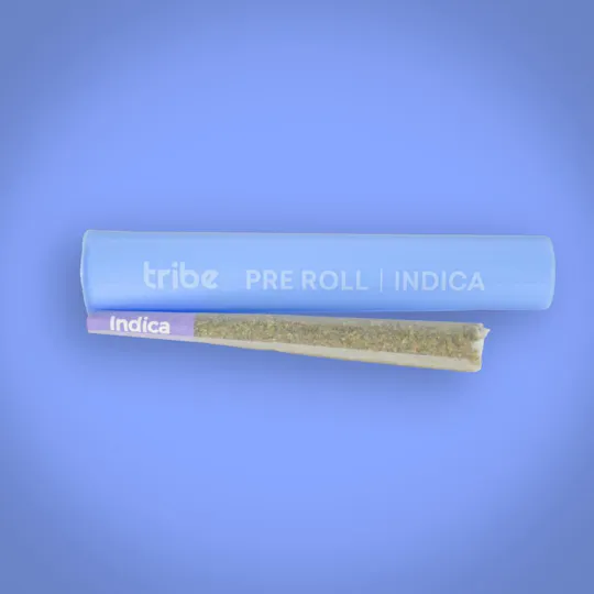 Tribe - Tribe | Watermelon Mimosa | Joint | 1g - 1