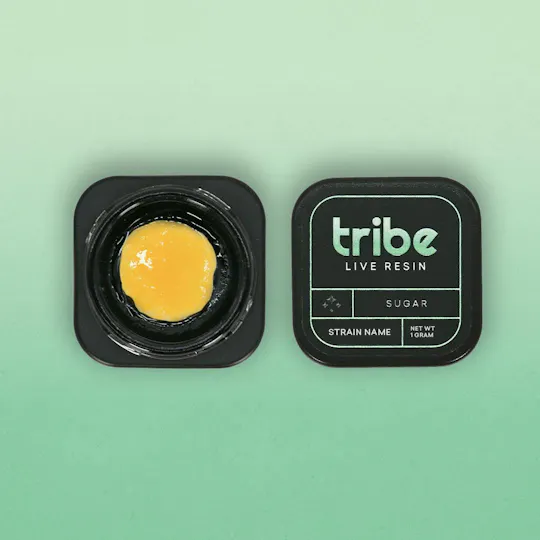 Tribe - Tribe | Breakfast Chem | Live Sugar | 1g - 1