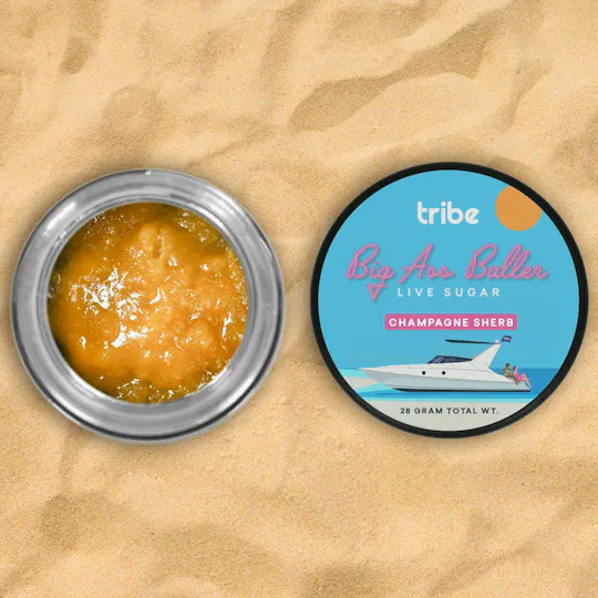 Tribe - Tribe | Big Ass Baller | Champagne Sherb | Live Sugar | 28g - 1