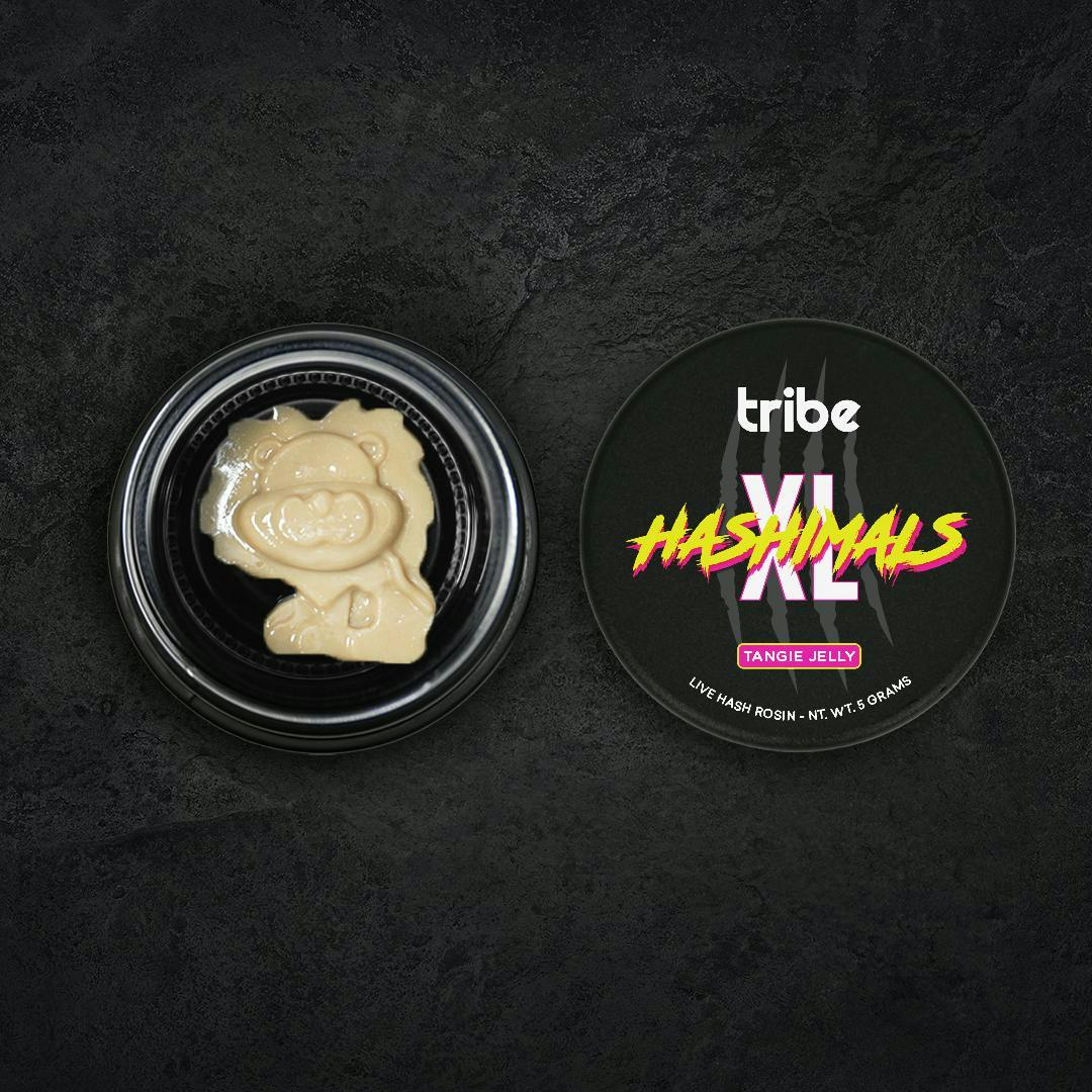 Tribe - Tribe | Tangie Jelly | Lion XL Hashimals | 5g - 1
