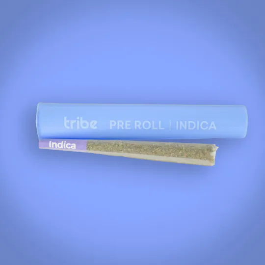 Tribe - Tribe | Mystery Parfait | Joint | 1g - 1