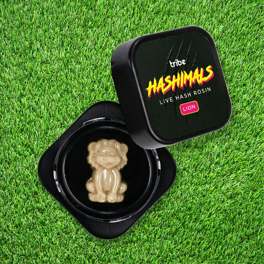 Tribe - Tribe | Citrus Sand | Lion Hashimals | 1.5g - 1