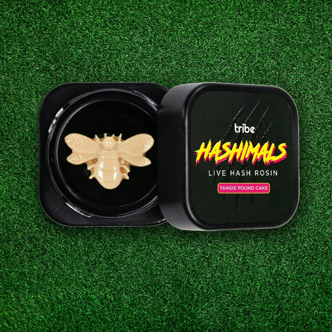 Tribe - Tribe | Tangie Pound Cake | Bumble Bee Hashimals | 1g - 1