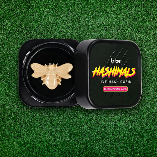 Tribe - Tribe | Tangie Pound Cake | Bumble Bee Hashimals | 1g - 1