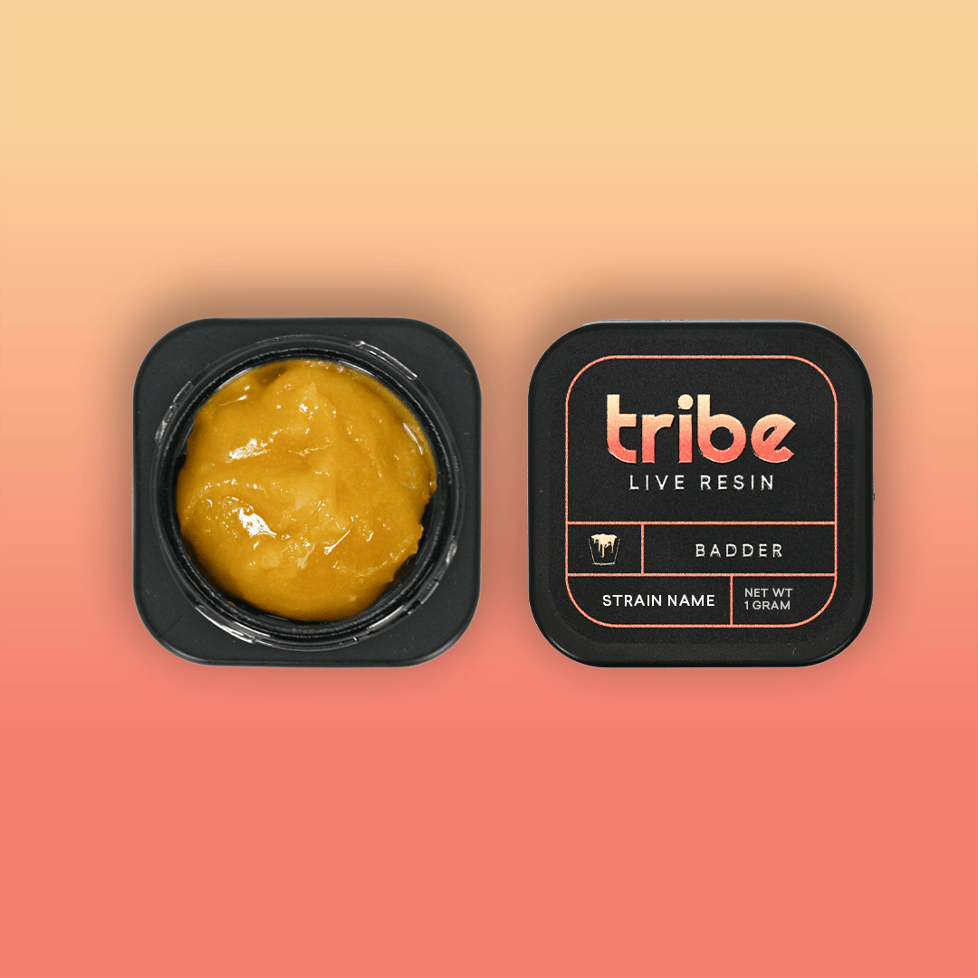 Tribe - Tribe | Sour Cream Sherb | Live Badder | 1g - 1