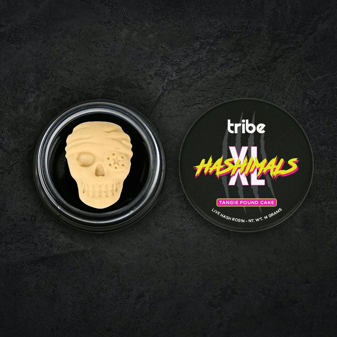 Tribe - Tribe | Tangie Pound Cake | Pirate Skull XL Hashimals | 14g - 1
